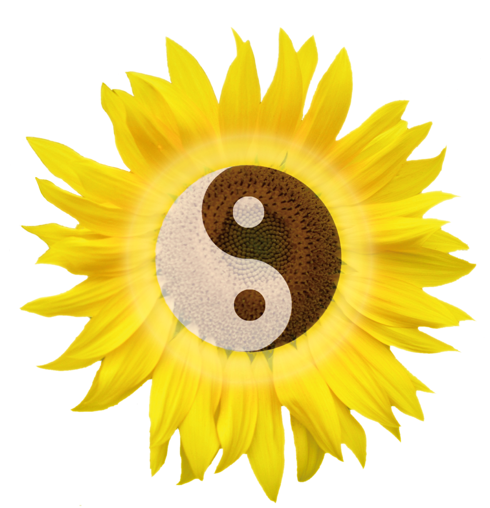 Logo Anne Biesdorf (c)